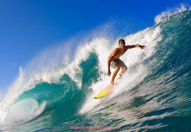 857直播看球平台-2019年火箭队与雄鹿比赛数据详细对比 857直播看球平台-2019年火箭队与雄鹿比赛数据详细对比