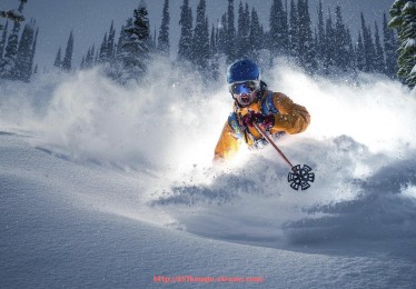 857直播看球平台-世俱杯长期储备球员的使用周期追踪分析 857直播看球平台-世俱杯长期储备球员的使用周期追踪分析