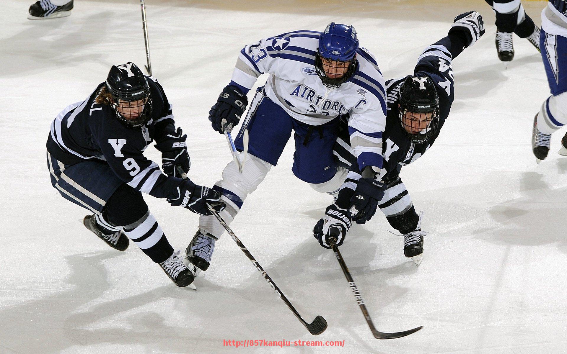 857直播看球平台-意甲球队组成结构及俱乐部管理模式全解析