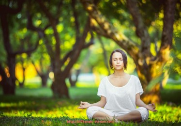 857直播看球平台-国际米兰球员世俱杯表现汇总，盘点亮眼数据与得分手